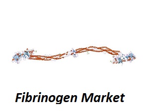 Fibrinogen Market